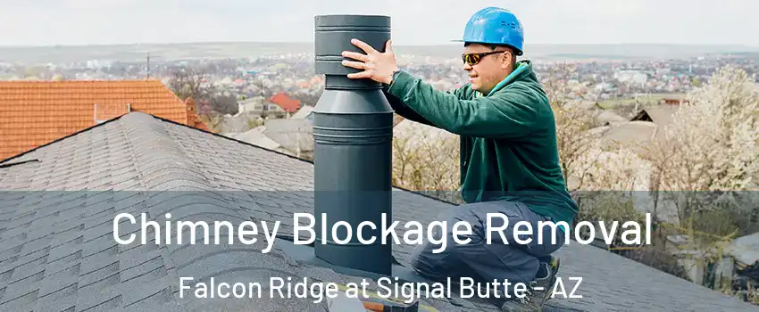 Chimney Blockage Removal Falcon Ridge at Signal Butte - AZ