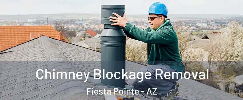 Chimney Blockage Removal Fiesta Pointe - AZ