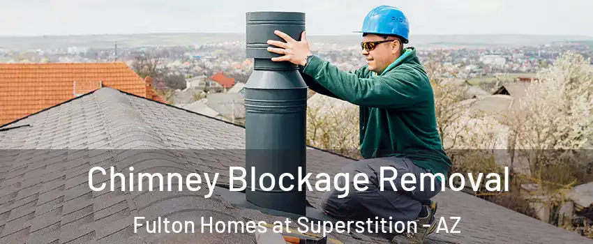 Chimney Blockage Removal Fulton Homes at Superstition - AZ