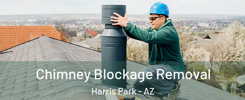 Chimney Blockage Removal Harris Park - AZ