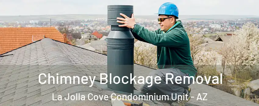 Chimney Blockage Removal La Jolla Cove Condominium Unit - AZ