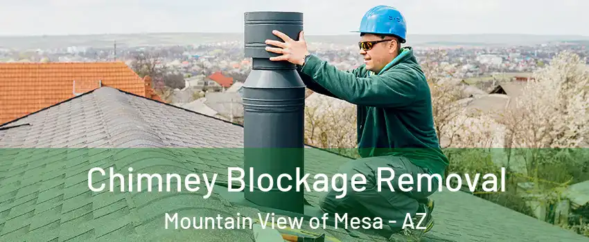 Chimney Blockage Removal Mountain View of Mesa - AZ