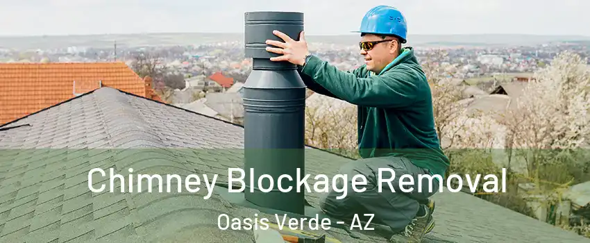 Chimney Blockage Removal Oasis Verde - AZ