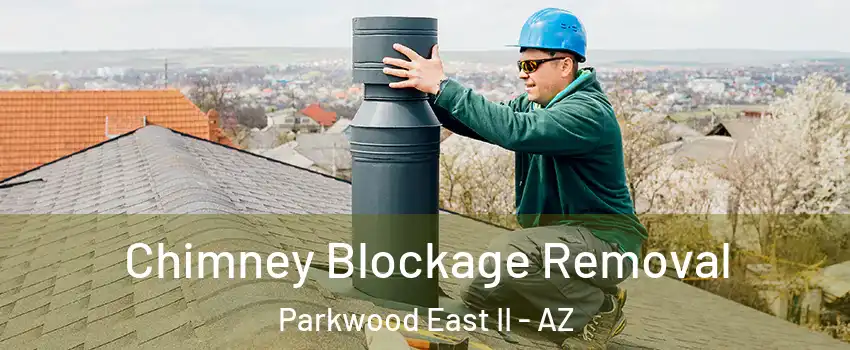 Chimney Blockage Removal Parkwood East II - AZ