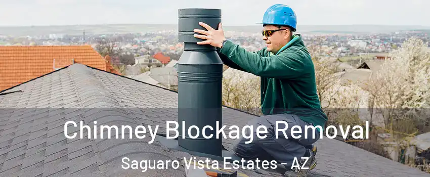 Chimney Blockage Removal Saguaro Vista Estates - AZ
