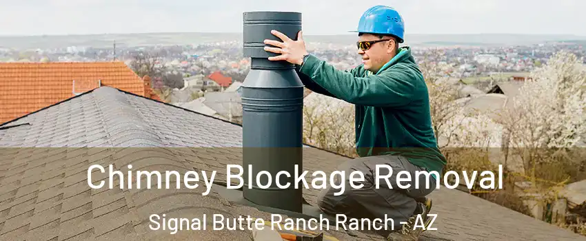 Chimney Blockage Removal Signal Butte Ranch Ranch - AZ