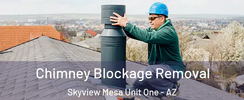Chimney Blockage Removal Skyview Mesa Unit One - AZ
