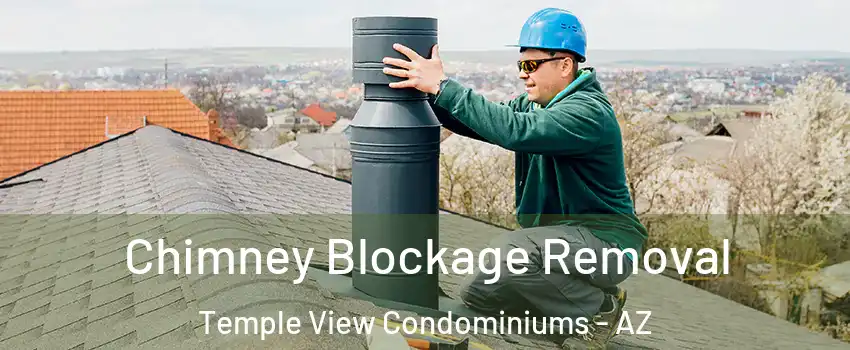 Chimney Blockage Removal Temple View Condominiums - AZ