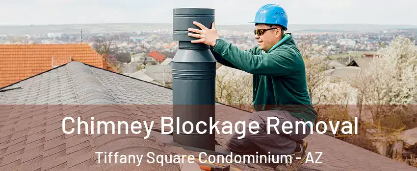 Chimney Blockage Removal Tiffany Square Condominium - AZ