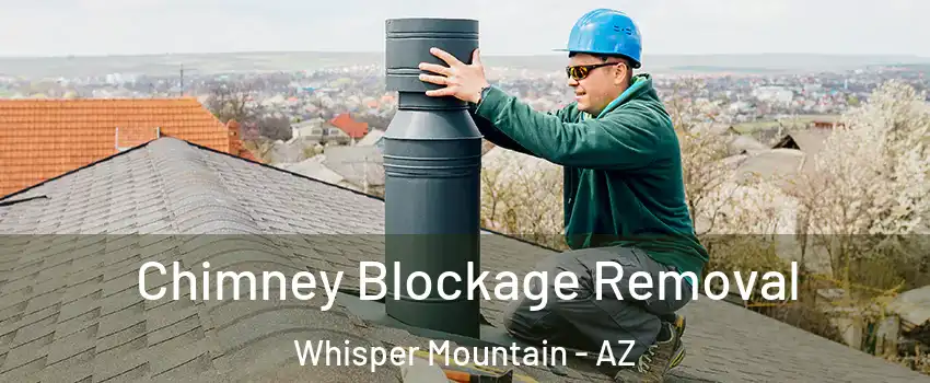 Chimney Blockage Removal Whisper Mountain - AZ