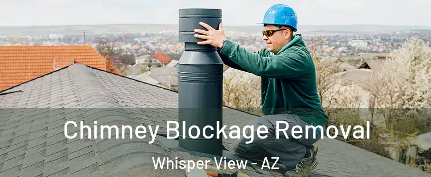Chimney Blockage Removal Whisper View - AZ
