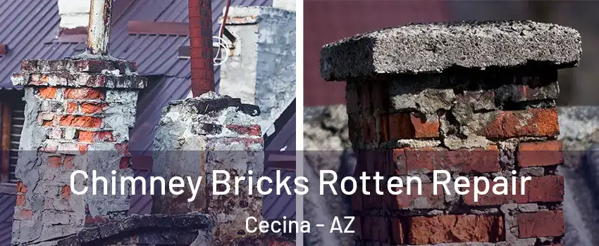Chimney Bricks Rotten Repair Cecina - AZ
