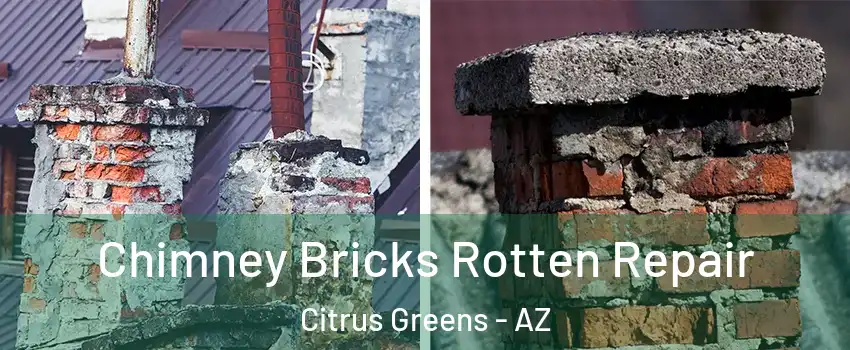 Chimney Bricks Rotten Repair Citrus Greens - AZ