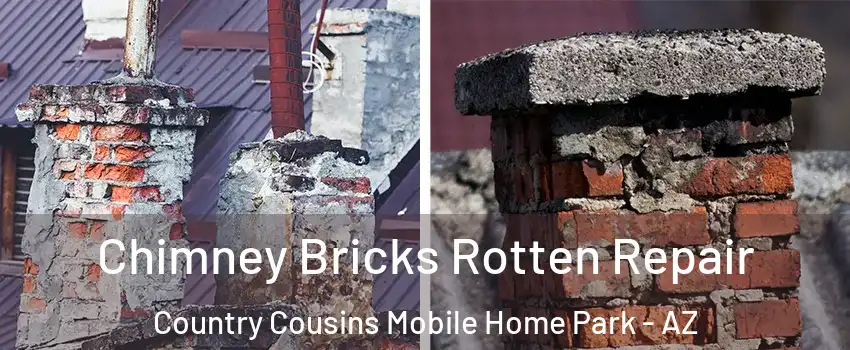Chimney Bricks Rotten Repair Country Cousins Mobile Home Park - AZ