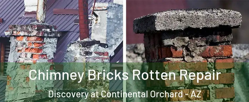 Chimney Bricks Rotten Repair Discovery at Continental Orchard - AZ
