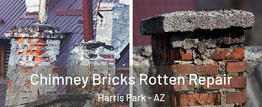 Chimney Bricks Rotten Repair Harris Park - AZ