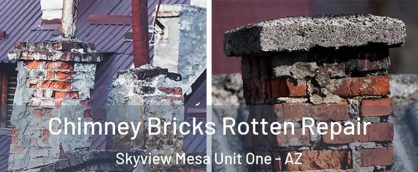 Chimney Bricks Rotten Repair Skyview Mesa Unit One - AZ
