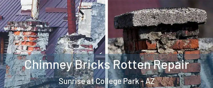 Chimney Bricks Rotten Repair Sunrise at College Park - AZ