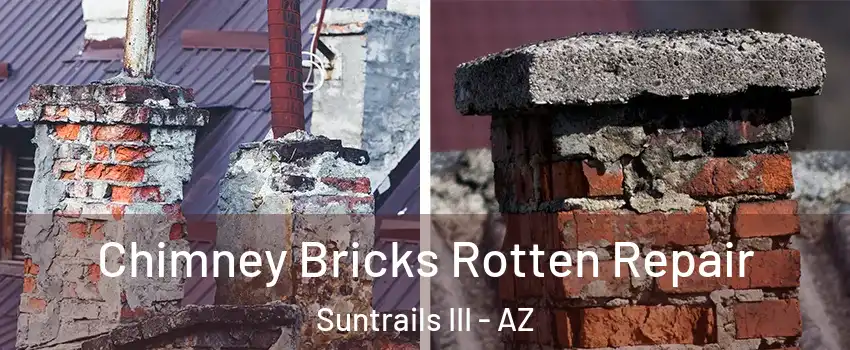 Chimney Bricks Rotten Repair Suntrails III - AZ