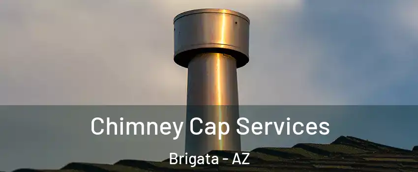 Chimney Cap Services Brigata - AZ