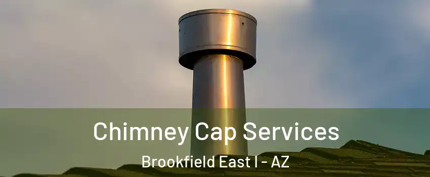 Chimney Cap Services Brookfield East I - AZ