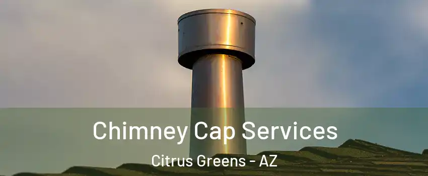 Chimney Cap Services Citrus Greens - AZ