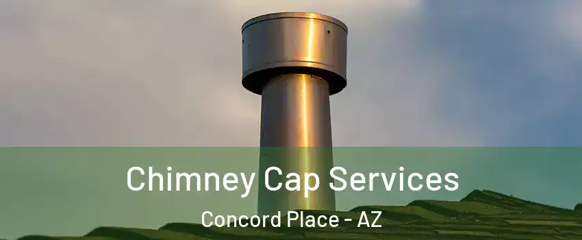 Chimney Cap Services Concord Place - AZ
