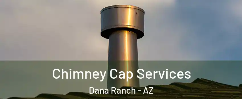 Chimney Cap Services Dana Ranch - AZ