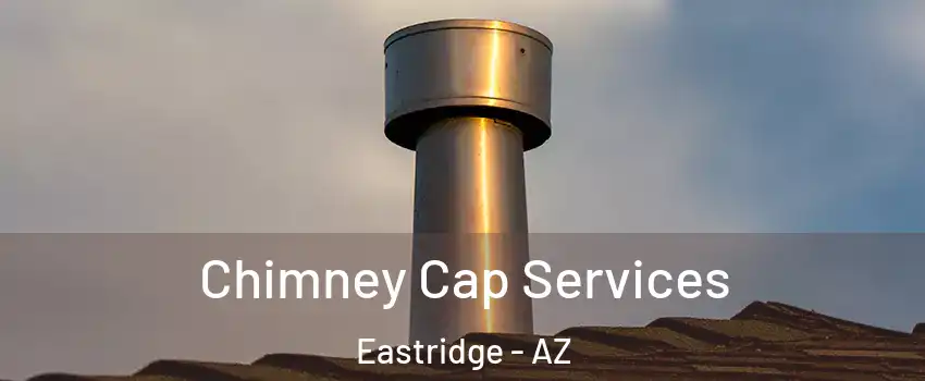 Chimney Cap Services Eastridge - AZ