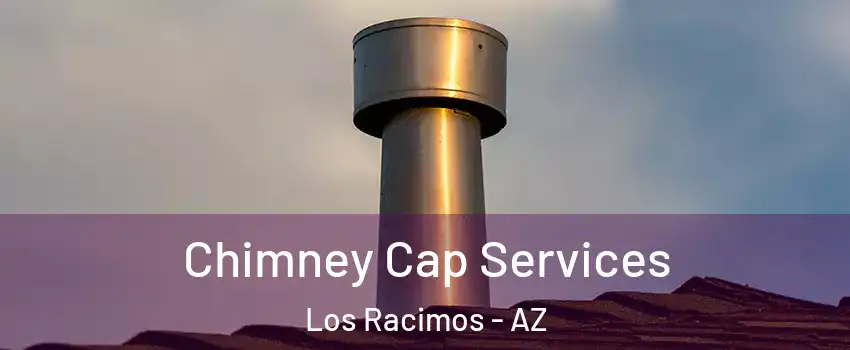 Chimney Cap Services Los Racimos - AZ