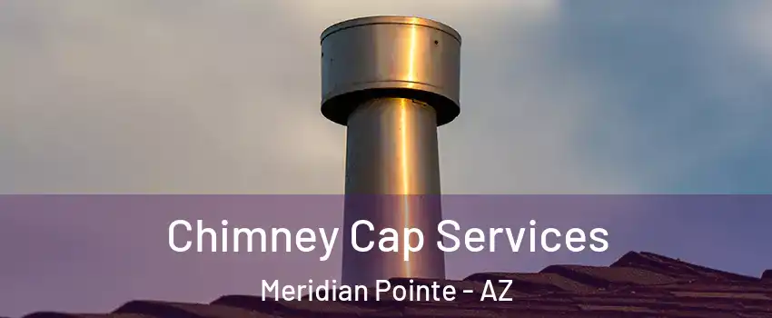 Chimney Cap Services Meridian Pointe - AZ