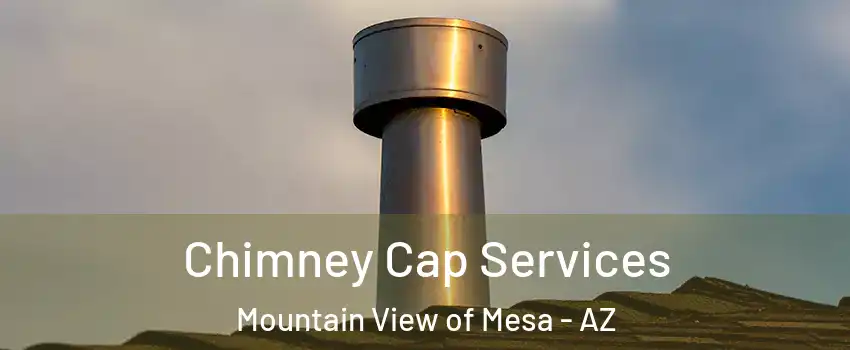 Chimney Cap Services Mountain View of Mesa - AZ