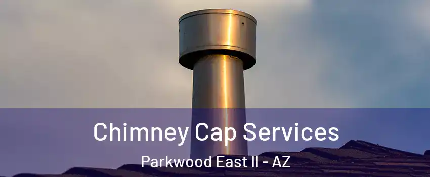 Chimney Cap Services Parkwood East II - AZ
