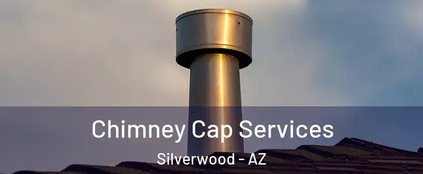 Chimney Cap Services Silverwood - AZ