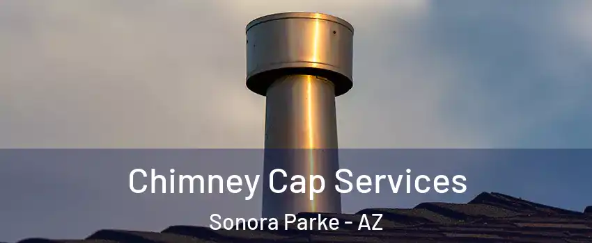 Chimney Cap Services Sonora Parke - AZ