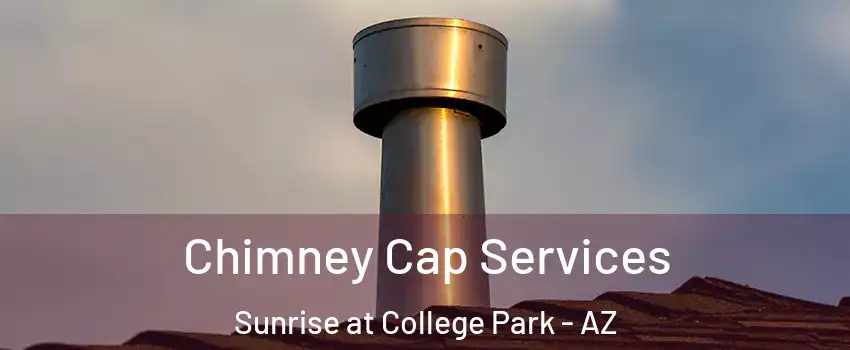 Chimney Cap Services Sunrise at College Park - AZ