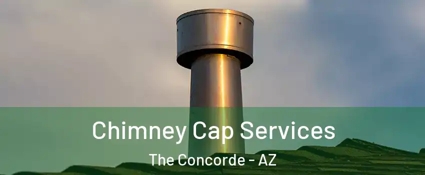 Chimney Cap Services The Concorde - AZ