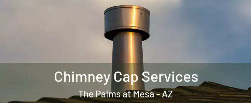 Chimney Cap Services The Palms at Mesa - AZ