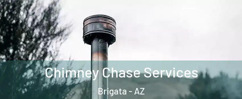 Chimney Chase Services Brigata - AZ