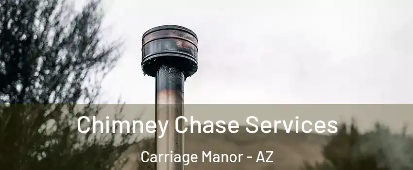 Chimney Chase Services Carriage Manor - AZ