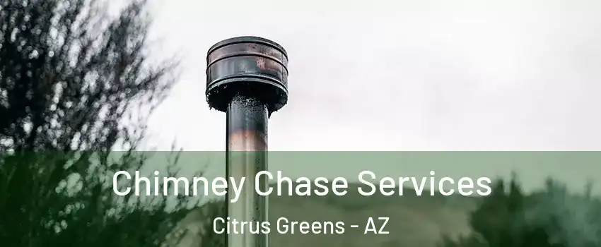 Chimney Chase Services Citrus Greens - AZ