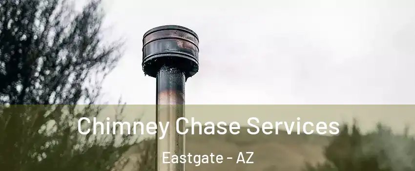 Chimney Chase Services Eastgate - AZ