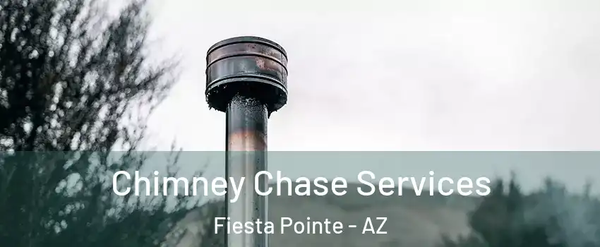 Chimney Chase Services Fiesta Pointe - AZ