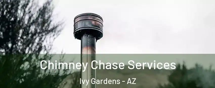 Chimney Chase Services Ivy Gardens - AZ