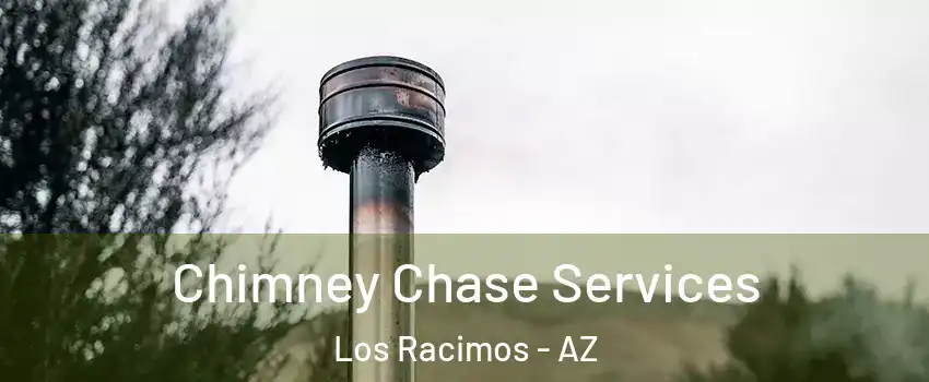 Chimney Chase Services Los Racimos - AZ
