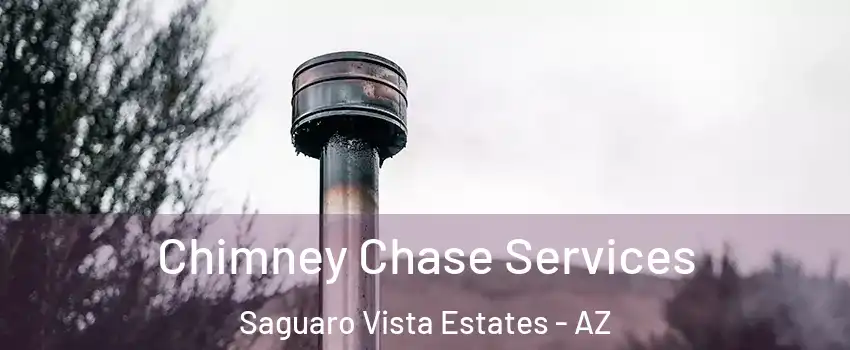 Chimney Chase Services Saguaro Vista Estates - AZ