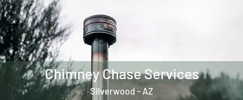 Chimney Chase Services Silverwood - AZ