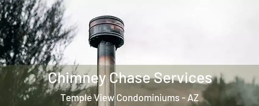 Chimney Chase Services Temple View Condominiums - AZ