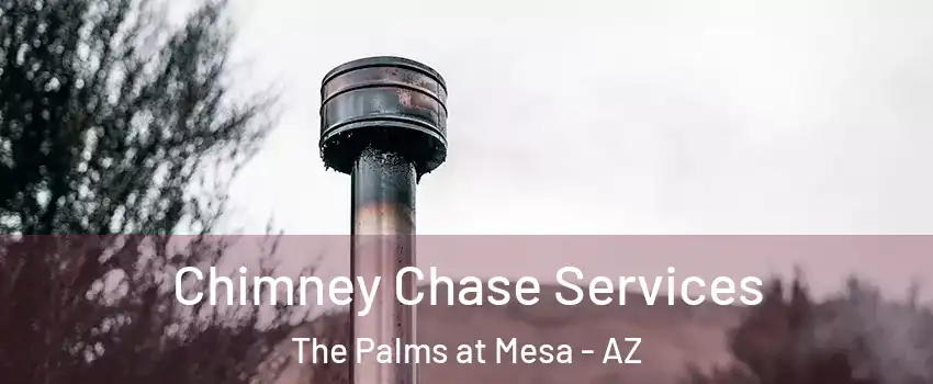 Chimney Chase Services The Palms at Mesa - AZ