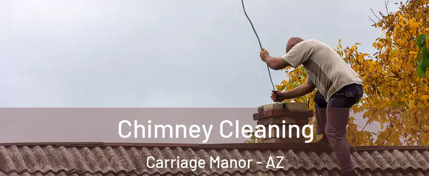 Chimney Cleaning Carriage Manor - AZ